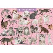 C07　こねこ　だいしゅうごう　50ピース(頭のいい子を育む　ジグソー知育パズル) [絵本]