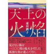 天上の火焔 [単行本]