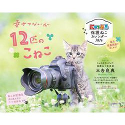 にゃっぷる保護ねこカレンダー2026卓上版「幸せつないだ１２匹のこねこ」／ねこの保護団体への寄付つき(カレンダー) [カレンダー]