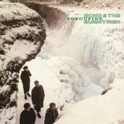 ポーキュパイン(やまあらし)