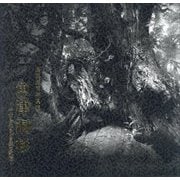 魚津洞杉―長田達明写真集 千古を生きる自然の記憶 [単行本]
