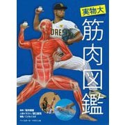 実物大 筋肉図鑑 [図鑑]