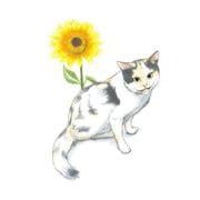 続 ミケちゃんとやすらぎさん [単行本]