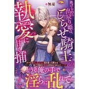 虐げられた出戻り姫は、こじらせ騎士の執愛に甘く捕らわれる(ノーチェブックス) [単行本]