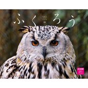 ふくろうカレンダー　２０２６ [カレンダー]