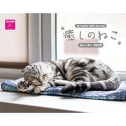 癒しのねこカレンダー　２０２６ [カレンダー]