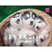 よちよちこいぬカレンダー　２０２６ [カレンダー]