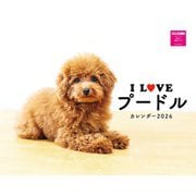 Ｉ　ＬＯＶＥ　プードルカレンダー　２０２６ [カレンダー]