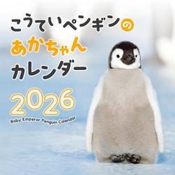こうていペンギンのあかちゃんカレンダー 2026 [カレンダー]