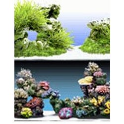 「AQUAZONE水中庭園」追加D スズメダイ水槽セット(海水水槽)