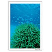Digital Post Card Book / アンダーウォーター（3） [Windows/Mac ダウンロード版]