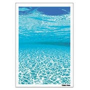 Digital Post Card Book / アンダーウォーター（2） [Windows/Mac ダウンロード版]