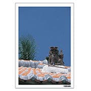 Digital Post Card Book / 沖縄 [Windows/Mac ダウンロード版]