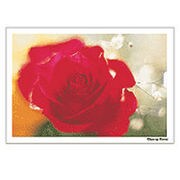 Digital Post Card Book / クローズアップフラワー [Windows/Mac ダウンロード版]