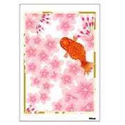 Digital Post Card Book / ストリーム [Windows/Mac ダウンロード版]