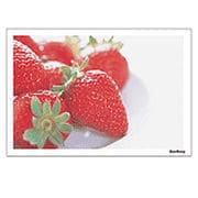 Digital Post Card Book / ストロベリー＆レモン [Windows/Mac ダウンロード版]