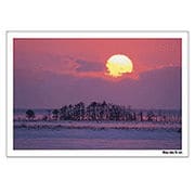 Digital Post Card Book / 太陽 [Windows/Mac ダウンロード版]