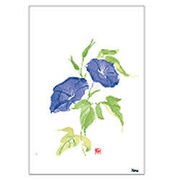 Digital Post Card Book / 花・水彩画 [Windows/Mac ダウンロード版]