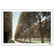 Digital Post Card Book / パリ（1） [Windows/Mac ダウンロード版]