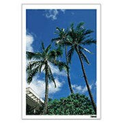 Digital Post Card Book / ハワイ [Windows/Mac ダウンロード版]