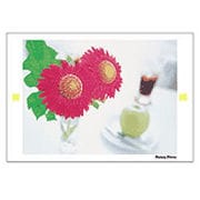 Digital Post Card Book / フラワーファンタジー [Windows/Mac ダウンロード版]