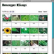 昆虫の表情 [Windows/Mac ダウンロード版]