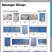 桜 [Windows/Mac ダウンロード版]
