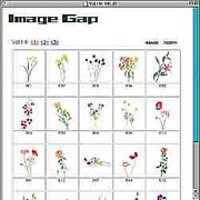 水彩画の花<2> [Windows/Mac ダウンロード版]