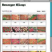 チューリップ<1> [Windows/Mac ダウンロード版]