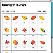 葉<紅葉> [Windows/Mac ダウンロード版]