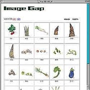 野菜のイラストレーション<1> [Windows/Mac ダウンロード版]
