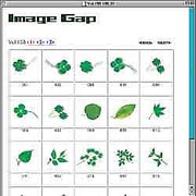 四葉のクローバー [Windows/Mac ダウンロード版]