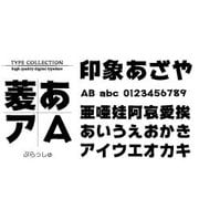 Windows対応TrueTypeフォントぶらっしゅ [ダウンロードソフトウェア Win専用]