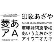 Windows対応TrueTypeフォント平成丸ゴシック体W4 [ダウンロードソフトウェア Win専用]