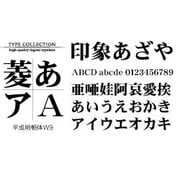 Windows対応TrueTypeフォント平成明朝体W9 [ダウンロードソフトウェア Win専用]