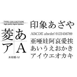 Windows対応TrueTypeフォント本明朝-M<表外漢字文字種対応> [ダウンロードソフトウェア Win専用]