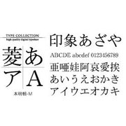 Windows対応TrueTypeフォント本明朝-M<表外漢字文字種対応> [ダウンロードソフトウェア Win専用]