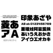 Macintosh対応CIDフォントATM版G2サンセリフ-U [ダウンロードソフトウェア Mac専用]