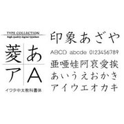 Windows対応TrueTypeイワタ中太教科書体 [ダウンロードソフトウェア Win専用]