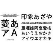 Windows対応TrueTypeフォントゴシック-B<表外漢字文字種対応> [ダウンロードソフトウェア Win専用]