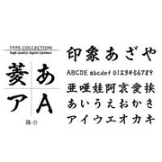 Windows対応TrueTypeフォント篠-B [ダウンロードソフトウェア Win専用]