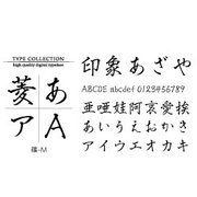 Windows対応TrueTypeフォント篠-M [ダウンロードソフトウェア Win専用]