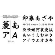 Windows対応TrueTypeフォント羽衣-B [ダウンロードソフトウェア Win専用]