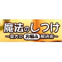 魔法のしつけ～愛犬のお悩み解決術～