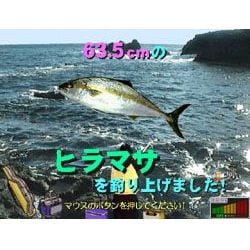 バリュー磯釣り ヨドバシ.com - マグノリア MAGNOLIA バリュー磯釣り