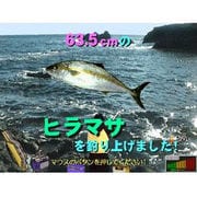 バリュー磯釣り [ダウンロードソフトウェア Win専用]