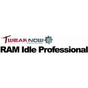 RAM Idle Professional [ダウンロードソフトウェア Win専用]