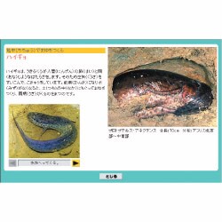 学研こどもサイエンス びっくりアニマルワールド