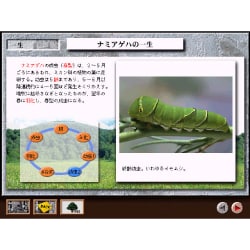 学研マルチメディア図鑑 昆虫