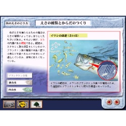 ヨドバシ.com - KALLOY カロイ 学研マルチメディア図鑑 魚 通販【全品